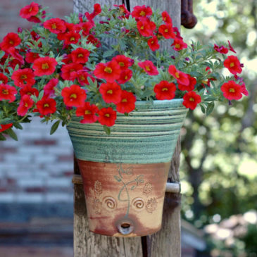 Eine hübsche Bepflanzung mit einer roten Blume in einem grünen Wandhängetopf
